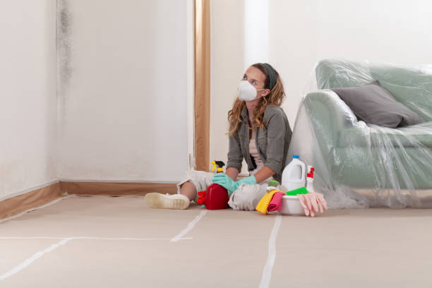 Reliable Mold Cleanup contractor in North Babylon, NY by Cheap Mold Removal